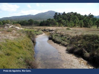 Praia da Aguieira. Río Cans.
 