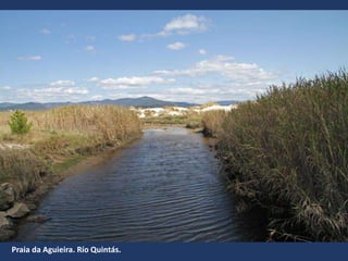Praia da Aguieira. Río Quintás.
 