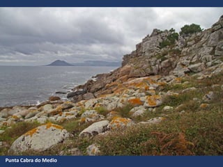 Punta Cabra do Medio
 
