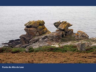 Punta do Alto da Laxe
 
