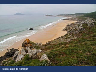 Punta e praia de Riomaior
 