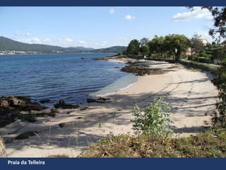Praia da Telleira
 