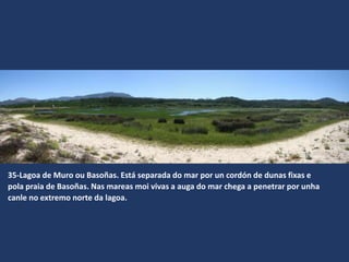 35-Lagoa de Muro ou Basoñas. Está separada do mar por un cordón de dunas fixas e
pola praia de Basoñas. Nas mareas moi vivas a auga do mar chega a penetrar por unha
canle no extremo norte da lagoa.
 
