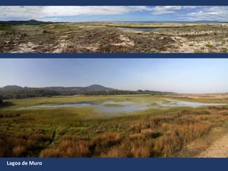 Lagoa de Muro
 