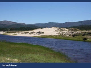 Lagoa de Muro
 