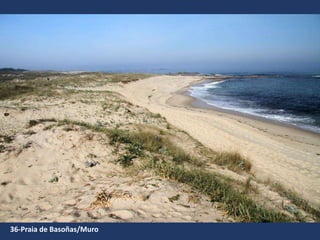 36-Praia de Basoñas/Muro
 