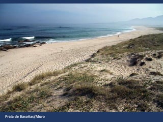 Praia de Basoñas/Muro
 