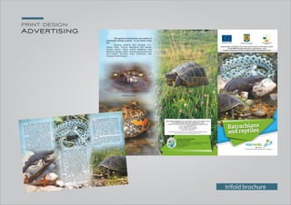 print design
Advertising
trifold brochure
 