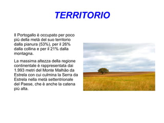 TERRITORIO
Il Portogallo è occupato per poco
più della metà del suo territorio
dalla pianura (53%), per il 26%
dalla collina e per il 21% dalla
montagna.
La massima altezza della regione
continentale è rappresentata dai
1.993 metri del Monte Malhão da
Estrela con cui culmina la Serra da
Estrela nella metà settentrionale
del Paese, che è anche la catena
più alta.
 