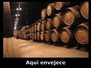 Cidade do Porto, segundo um espanhol.