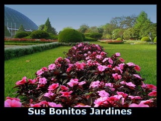 Cidade do Porto, segundo um espanhol.