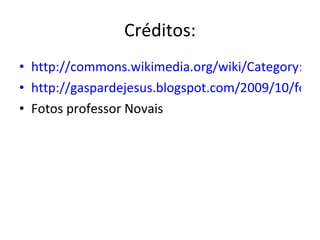 Créditos: http://commons.wikimedia.org/wiki/Category:S%C3%A9_do_Porto http://gaspardejesus.blogspot.com/2009/10/fotos-soltas_31.html Fotos professor Novais 
