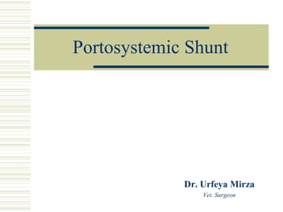 Portosystemic Shunt
Dr. Urfeya Mirza
Vet. Surgeon
 
