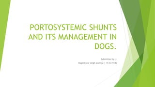 PORTOSYSTEMIC SHUNTS
AND ITS MANAGEMENT IN
DOGS.
Submitted by :-
Mageshwar singh Slathia (j-15-bv-918)
 