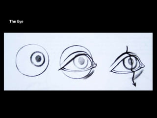 The Eye