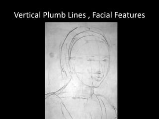 Vertical Plumb Lines , Facial Features