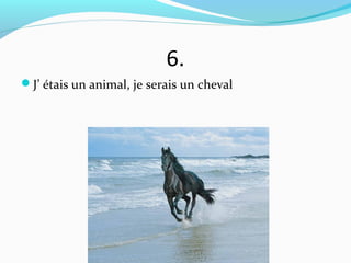 6.
J’ étais un animal, je serais un cheval
 