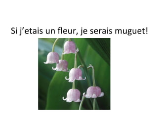 Si j’etais un fleur, je serais muguet!
 