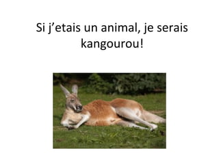 Si j’etais un animal, je serais
          kangourou!
 