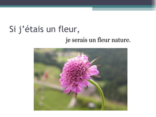 Si j’étais un fleur,
               je serais un fleur nature.
 