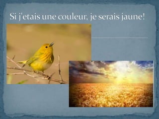 Portrait chinois de katie