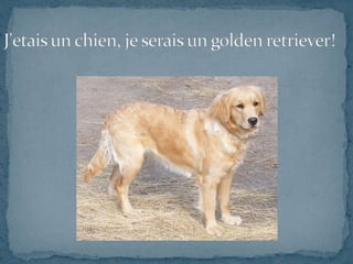 Portrait chinois de katie