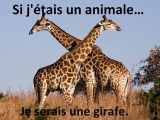 Si j'étais un animale…




 Je serais une girafe.
 