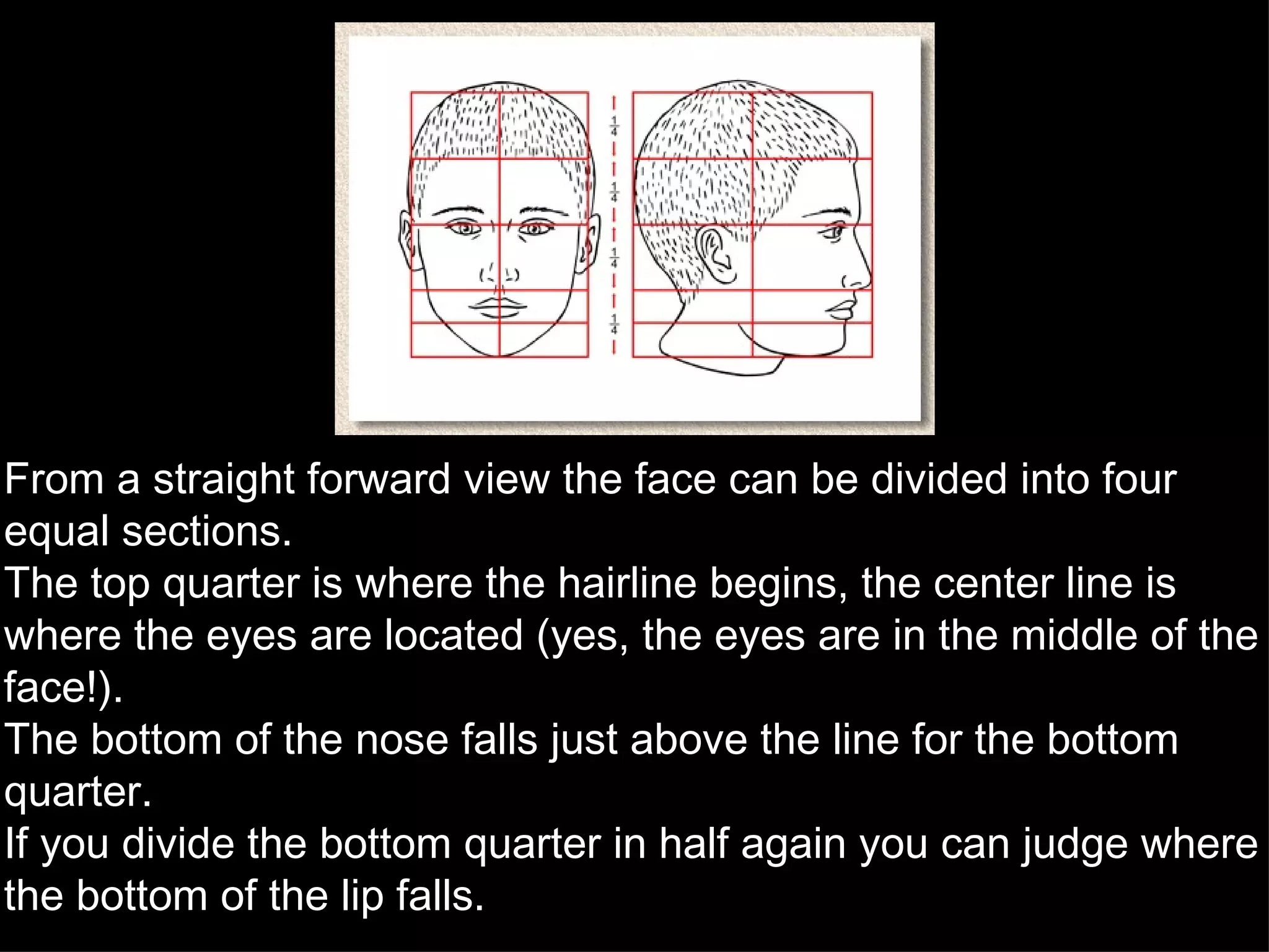 From a straight forward view the face can be divided into four equal sections.  The top quarter is where the hairline begins, the center line is where the eyes are located (yes, the eyes are in the middle of the face!).  The bottom of the nose falls just above the line for the bottom quarter.  If you divide the bottom quarter in half again you can judge where the bottom of the lip falls. 