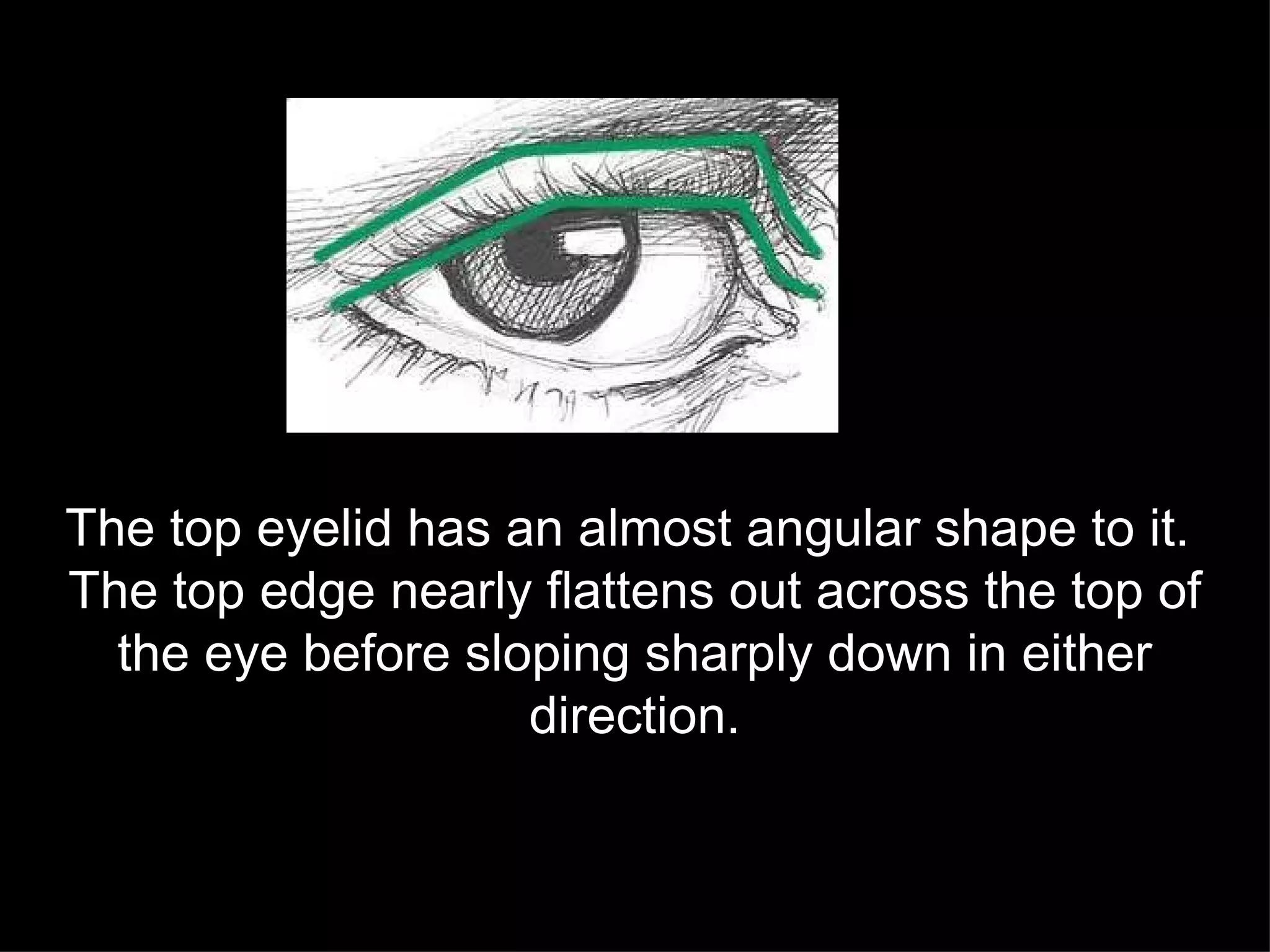 The top eyelid has an almost angular shape to it.  The top edge nearly flattens out across the top of the eye before sloping sharply down in either direction. 