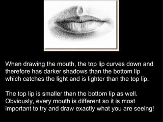 When drawing the mouth, the top lip curves down and therefore has darker shadows than the bottom lip which catches the light and is lighter than the top lip. The top lip is smaller than the bottom lip as well.  Obviously, every mouth is different so it is most important to try and draw exactly what you are seeing! 
