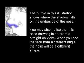 The purple in this illustration shows where the shadow falls on the underside of the nose. You may also notice that this nose drawing is not from a straight on view-- when you see the face from a different angle the nose will be a different shape. 