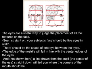 The eyes are a useful way to judge the placement of all the features on the face.  -Seen straight on, your subject’s face should be five eyes in width.  -There should be the space of one eye between the eyes.  -The edge of the nostrils will fall in line with the center edges of the eyes.  -And (not shown here) a line drawn from the pupil (the center of the eye) straight down will tell you where the corners of the mouth should be. 