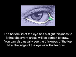 The bottom lid of the eye has a slight thickness to it that observant artists will be certain to draw.  You can also usually see the thickness of the top lid at the edge of the eye near the tear duct.  