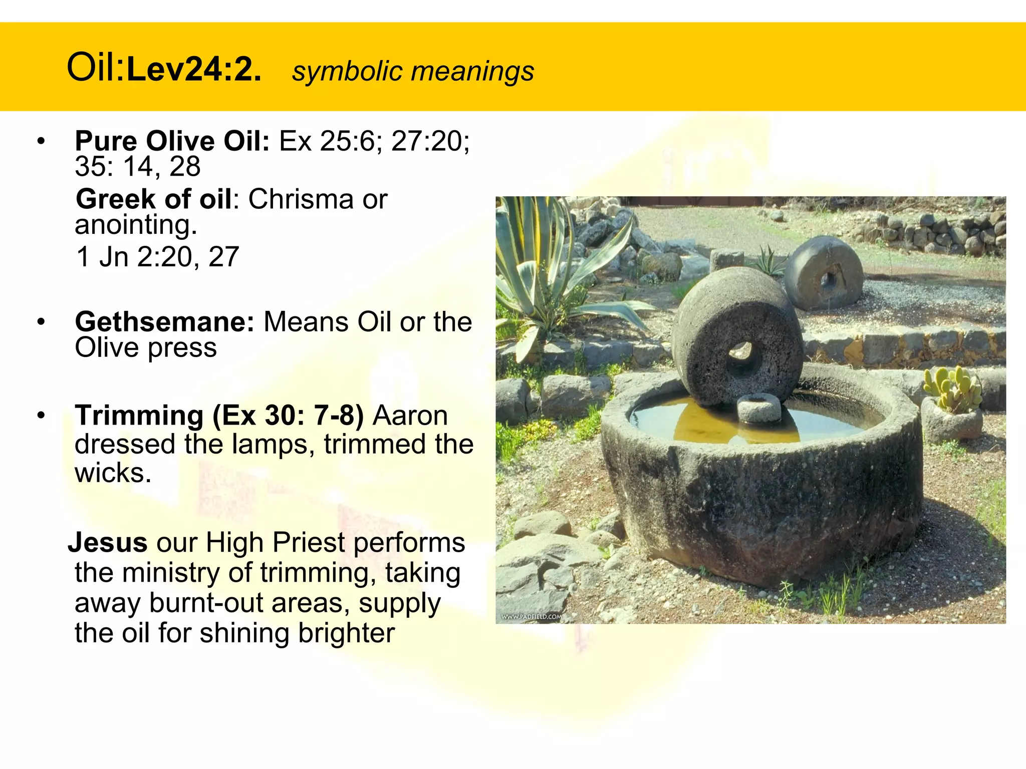 Oil: Lev24:2.  symbolic meanings Pure Olive Oil:  Ex 25:6; 27:20; 35: 14, 28 Greek of oil : Chrisma or anointing.  1 Jn 2:20, 27 Gethsemane:  Means Oil or the Olive press Trimming (Ex 30: 7-8)  Aaron dressed the lamps, trimmed the wicks. Jesus  our High Priest performs the ministry of trimming, taking away burnt-out areas, supply the oil for shining brighter 