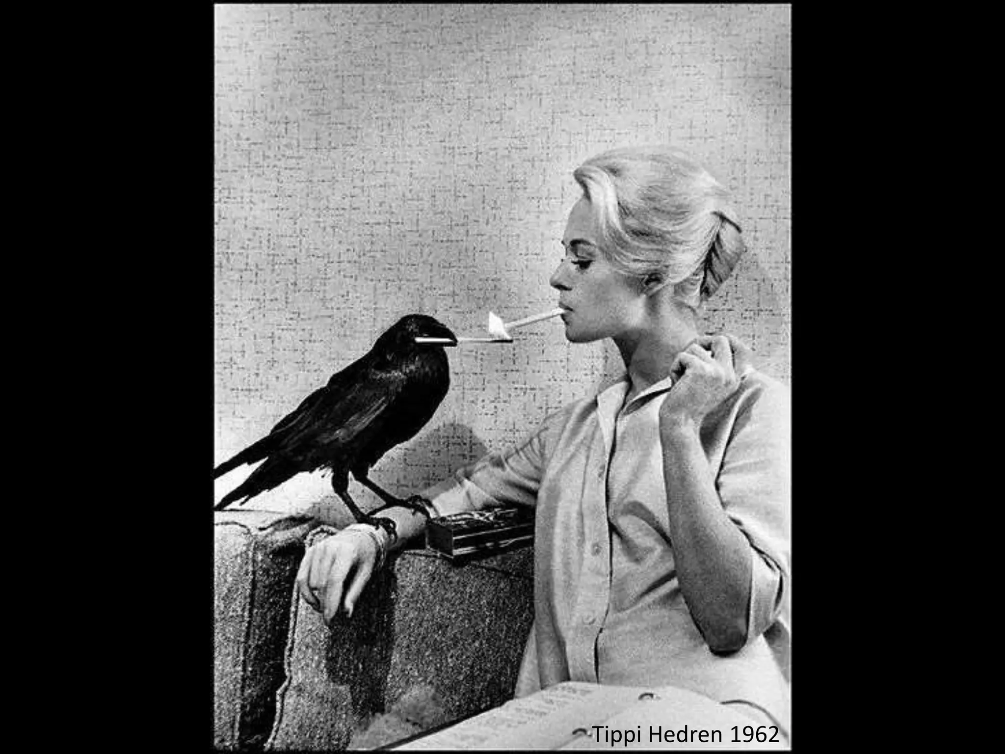 Tippi Hedren 1962
 