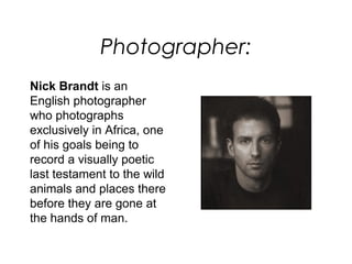 Photographer:
Nick Brandt is an
English photographer
who photographs
exclusively in Africa, one
of his goals being to
record a visually poetic
last testament to the wild
animals and places there
before they are gone at
the hands of man.
 