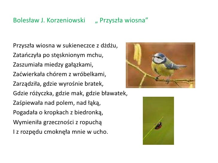 Wiersz O Wiosnie Na Konkurs Portret Wiosny Wierszem Malowany