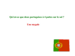 Qu'est-ce que deux portugaises à 4 pattes sur le sol ?   Une mygale   