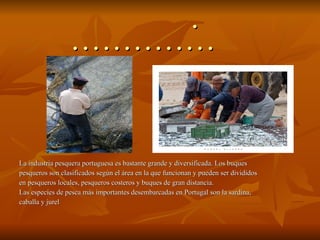   La industria pesquera portuguesa es bastante grande y diversificada. Los buques  pesqueros son clasificados según el área en la que funcionan y pueden ser divididos en pesqueros locales, pesqueros costeros y buques de gran distancia. Las especies de pesca más importantes desembarcadas en Portugal son la sardina,  caballa y jurel  