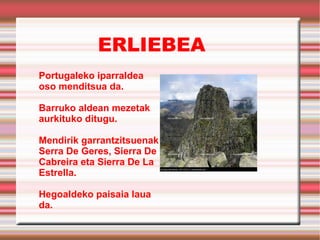 ERLIEBEA Portugaleko iparraldea oso menditsua da. Barruko aldean mezetak aurkituko ditugu. Mendirik garrantzitsuenak Serra De Geres, Sierra De Cabreira eta Sierra De La Estrella.  Hegoaldeko paisaia laua da. 