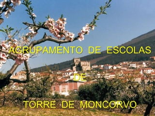 AGRUPAMENTO DE ESCOLAS

         DE

  TORRE DE MONCORVO   1
 