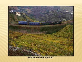 DOURO RIVER VALLEY