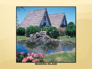 MADEIRA ISLAND