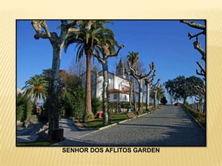 SENHOR DOS AFLITOS GARDEN