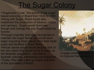 The Sugar Colony A sugar producing farm in Colonial Pernambuco. “ Sugarcane Cycle,” the period of the sugar-based economy in Brazil from 1530 to 1700 Along with Sugar, Brazil would also implement the production of tobacco, cotton and cachaca.  Sugar would dominate though and change the way Brazil would be forever. Portugal originally had used aboriginals to maintain the sugar farms, but would soon begin importing black slaves from their trade posts and facilities in West Africa. African slaves would would become part of the very fabric that would come to make up the Brazilian population.  And like in Spanish colonies, intermixing was practiced. Today, they help make up nearly one third of the population of Brazil. 