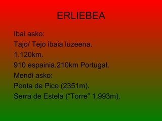 ERLIEBEA
Ibai asko:
Tajo/ Tejo ibaia luzeena.
1.120km.
910 espainia.210km Portugal.
Mendi asko:
Ponta de Pico (2351m).
Serra de Estela (“Torre” 1.993m).
 