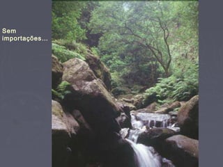 Sem
importações…
 