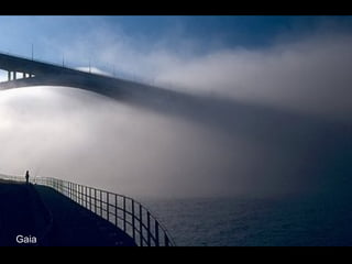 Gaia 