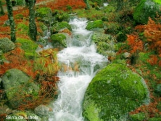 Serra da Estrela 