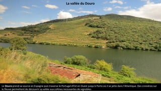 La vallée du Douro
Le Douro prend sa source en Espagne puis traverse le Portugal d'Est en Ouest jusqu'à Porto où il se jette dans l'Atlantique. Des croisières sur
le fleuve permettent de découvrir sa vallée aux collines recouvertes de vignobles.
 